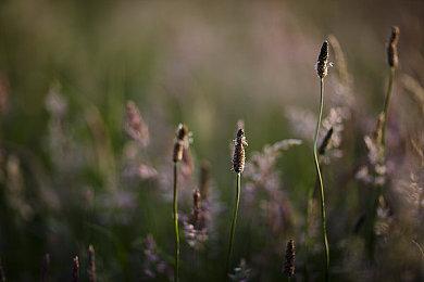 《最终幻想7：重生》GI前瞻：主线40小时 支线60小时